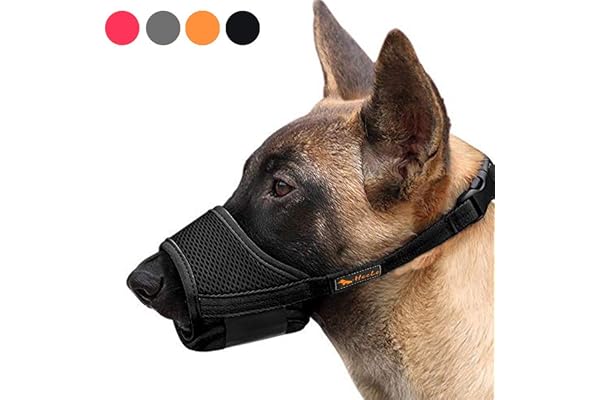 HEELE Muselière Souple Réglable pour Chiens en Nylon - Anti-Aboiement et Anti-Morsure - pour Petits et Moyens Chiens, Noir, M
