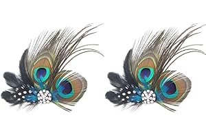 Dusenly Haarspange mit Pfauenfedern, für Abendkleid, Kopfschmuck, Hochzeit, Federn, Fascinator für Damen und Mädchen, 2 Stück