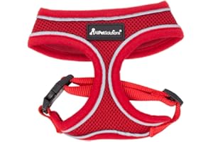 AllPetSolutions Dog Harness - Cool Pet Vest with Back D-Ring for Dog Lead Clips - Mesh Fabric Puppy Harness with Soft Padding - Training Stuff and Supplies for Small, Medium, Large Dogs - L, Red