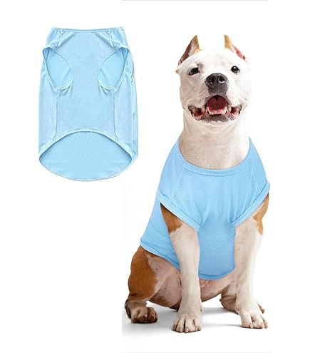 Hund Kühlweste Sommer - Atmungsaktive Kühljacke Für Kleine & Mittlere Hunde