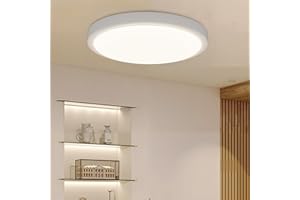 sailsco Plafoniera LED Soffitto,Fonti luminose Classe A-16W 3360LM, Plafoniera Bagno IP44 Impermeabile Rotonda Ø27CM,4000K Naturale per Cameretta, Cucina, Balcone, 1 Pezzo