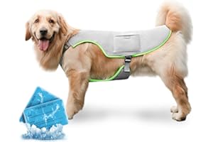 PAWTASY Gilet Rinfrescante per Cani Pettorina Refrigerante Cane con 2 Impacco di Ghiaccio Gel Giubbotto Refrigerante Cani Collare Raffreddamento Cane di Grande Taglia Grigio XL