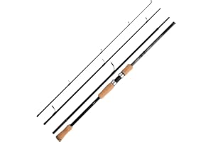 Shimano Reiserute STC Spinning Travel 240H 2,40m 20-60g 4 Teile