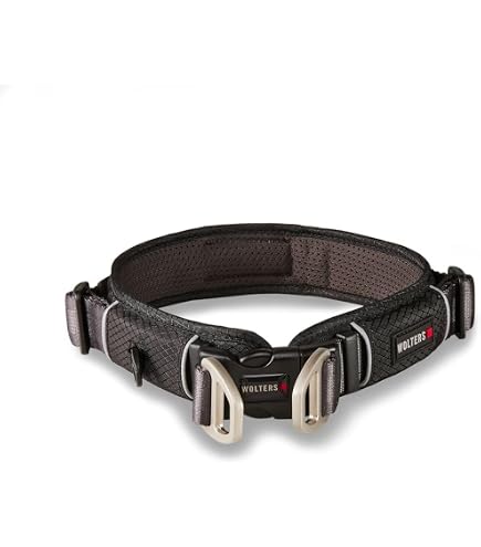 Wolters Halsband Professional Comfort – Gepolstertes Hundehalsband In Aqua/Azur, Halsumfang 45–50 Cm