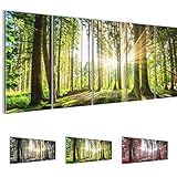 Bilder 200 x 80 cm - Wald Bild - Vlies Leinwand -...