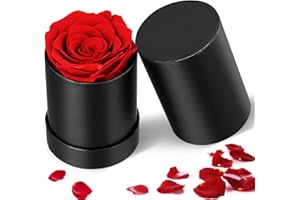 Steharlly Rosenbox, Ewige Rose Geschenkbox,Infinity Rosen, Handgefertigte konservierte Rosen, Ewige Blume, Rose Geschenk, Jahrestag und Geburtstag für Frauen, Mutter, Freundin(01)