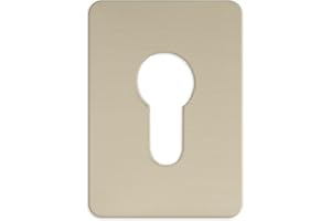 TSS Bocchetta per riparazione cilindro europeo, in alluminio anodizzato, 65 x 47 mm, autoadesivo, con profilo europeo, per serratura e serratura per cilindro europeo, piastra autoadesiva per porta