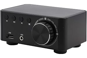 Bluetooth 5.0 stereoljud 2-kanals förstärkarmottagare Mini Hi-Fi-klassintegrerad förstärkare för hemhögtalare 50W x 2 med bas