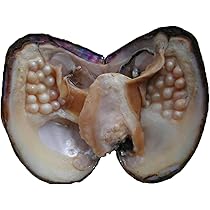 ALL'INGROSSO Perle Di Riso D'acqua Dolce Naturali - Foto 7