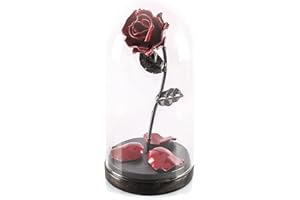 Forging Art Bcn® Rosa Encantada Forjada a Mano en Cúpula de Cristal Bella y Bestia- Regalo de San Valentín, Día de la Madre, Bodas de hierro (6 aniversario) (Rojo/Negro)