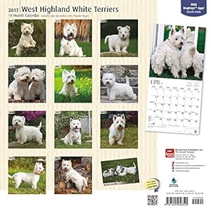 West Highland White Terriers 2017 Square (Square Wall)