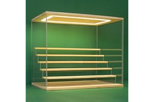 Nonemey Vetrina in Acrilico Trasparente con Luce a Led,2/3/4/5/6 Tier Teca Espositiva di Immagazzinaggio,Organizzatrice Antipolvere Vetrina Espositiva per Collezionismo(Legno, 6Tier-49x30x40 cm)