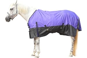 GALLOPOFF Lightweight No Fill Horse Rug – 0g Waterproof & Breathable Standard Neck Turnout Rug Rain Sheet for Horses Purple 6'0