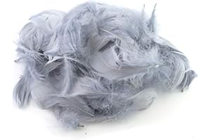 ‎CREATIVERY 5g Gänsefedern ca. 7-12cm (hell silber/grau 012H) // Gänseflaum Gänsedaunen Federn Bastelfedern Dekofedern Deko Natur