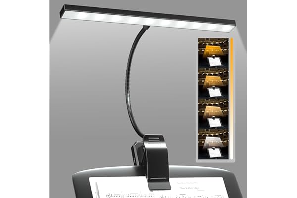 BrightArk Lampe de pupitre à 30 DEL,lampe à clipser pour pupitre de musique,lumière de piano rechargeable par USB,4 couleurs et 3 luminosité,parfait pour le piano,Partitions,Guitare,artisanat