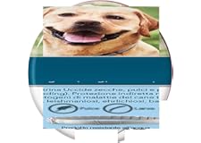 Collar para Perro, 2 pcs, Collar de Gato, Collar Impermeable, (Error de visualización)