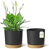 ZMTECH 16.5cm Flower Pot, Plastic Flower Pot with Drainage Holes for Succulent Plants, Herbs, Orchids, Mint and Other Garden