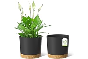 ZMTECH Pots de Fleurs de 16,5cm, Jardinières Modernes avec Trous de Drainage et Soucoupe Détachable, Pots de Fleurs en Plastique pour Plantes d'Intérieur et de Jardin (Gris Foncé, Lot de 2)