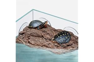 iplusmile Schildkröte Aalen Plattform Aquarium Dekoration Reptil Zubehör Aquarium Zubehör Für Aquarium Aquarium Dekorationen Reptil Aalen Plattform Schildkröte Aalen Plattform Tier