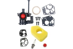 CARKIO OuyFilters Carburatore con filtro dell’aria 698369 per Briggs & Stratton 795477 795469 794147 699660 794161 498811