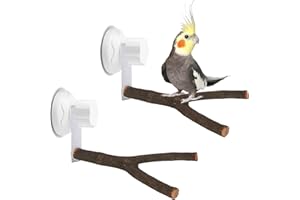 JINGHANGER 2 Pièces Oiseau Perche Naturel Bois Stand avec Ventouse Support de perchoir pour Oiseaux de Type Y Jouets Parrot Perche pour Cacatoès Ara Inséparables Perruche 25 cm