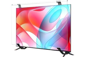 Qoosea Protector de Pantalla para TV de 65 Pulgadas - HD Claro, Panel Acrílico Protector para Pantallas de TV con Soporte de Un Punto o Dos Puntos, de Pared y Monitores de Ordenador