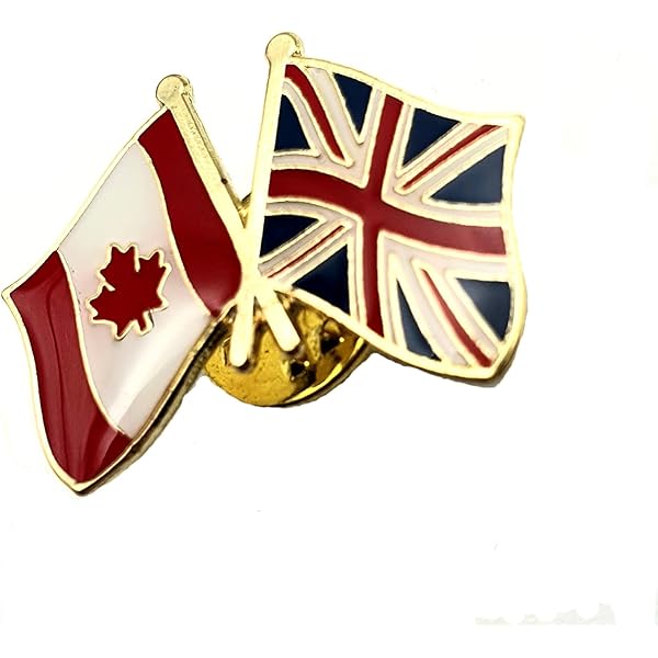 MandMiscShop USA & Scotland Friendship Lapel Pin: Cloisonné Country Flags - Foto 3