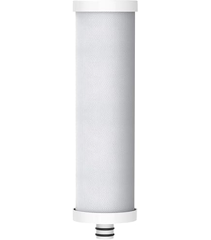 Frizzlife PLC20 de Patroon van de Vervangingsfilter voor SW20 en SW20F onder het Systeem van de de Waterfilter van het