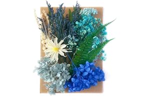 Bieiyhe Flores Secas Manualidades,Flores Prensadas,Flores Secas Decorativas,Flores Secas Naturales Pequeñas,Dried Flowers Bricolaje, Flores Secas para Resina,Flores Secas para Velas para DIY-Azul