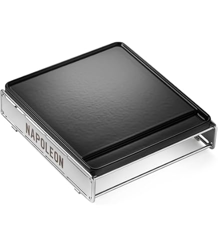 BAC460 Gusseisen-Grillplatte Für Traeger Scout & Ranger – Ersatzteil, 39 X 29 Cm, Hitzebeständig