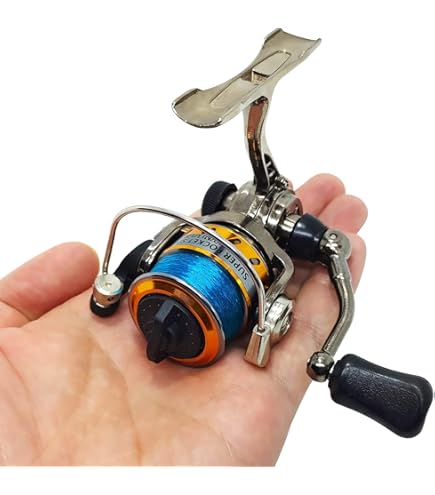 Daiwa D-SPIN500-B-CP D-Spin Ultralight Spinning Reel, 500, 4.9: 1 Gear Ratio, 1BB, 4.40Lb Max Drag, Ambidextrous, Clam Package: Buy Online at Best Price in UAE