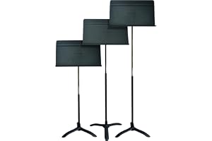 Manhasset orkesterpärla stor