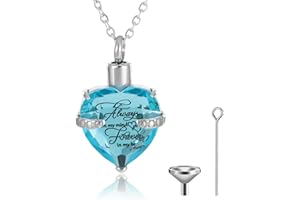 Canghai Rousa Heart Cremation Urn Necklace for Ashes, Stainless Steel Keepsake Pendant Necklace Ashes Holder Memorial Jewelry for Mum Dad Women Men Dog Pet