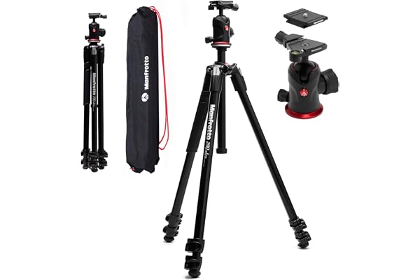 Manfrotto 290XTRA Trépied Appareil Photo Aluminium avec Rotule 496, 3 Sections, 4 Angles, Verrouillage Rapide, Plaque Arca-Swiss, 10 kg, Sac, pour Reflex, Hybride, Caméra Compacte