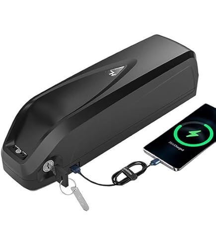 E-bike accu 48 V 20 Ah lithium-ion fietsaccu met oplader voor 1500 W 1000 W 750 W 500 W motor, e-bike conversiekit