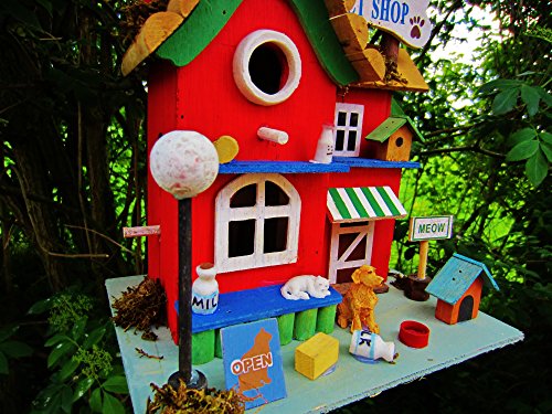 Hüwüknü, Vogelhaus, Tierpension - 8