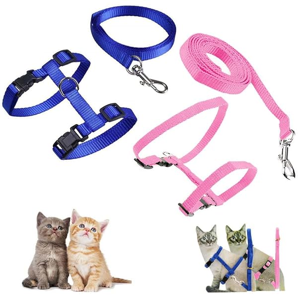 Harnais Pour Chat Avec Laisse Anti-éclatement - Gilet Confortable Taille M, Laisse Réglable 5m, Bandes Réfléchissantes