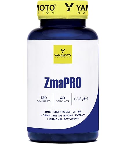 l carnitine yamamoto YAMAMOTO Nutrition, Acetyl L-CARNITINE 60 compresse, Integratore Alimentare  a Base di Acetil Carnitina 1000mg dose, Stimulant Free : Amazon.it: Salute  e cura della persona
