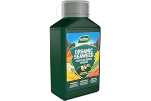 Westland Horticulture 20100443 Organic Seaweed Plant Growth Stimulant Liquid Plant Food 1L