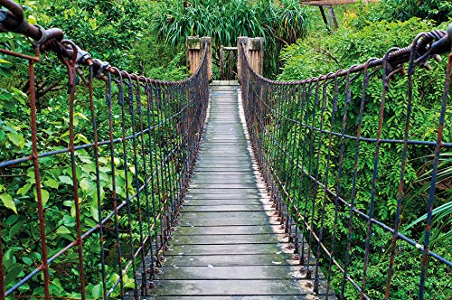 GREAT ART Foto Mural Puente Colgante Tapíz Paisaje Natural Póster Jungle Adventure Deco Selva Tropical (336 x 238 cm)