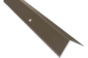Dalsys Treppenkantenprofil Vinyl, Laminat zum Schrauben Champagner 200cm x 20mm x 20mm Winkelprofil aus Aluminium eloxiert