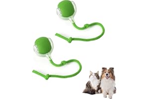IUUWON Interactive Cat Toys Ball for Indoor, Automatic Moving Puppies Dog Toys, Rolling Motion Activate 360° Smart Automatic Rolling Pet Ball (2pcs Green)
