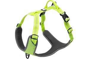 TRUE LOVE Harnais pour Chien Réglable Réfléchissant sans Traction Gilet Durable pour Animaux de Compagnie Voyage en Voiture Extérieur TLH6071(Vert,M)