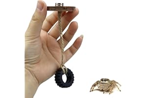 YUYUSO 2 Pack Jumping Spider Swing with Magnets for Spoods Pet Spider Jumping Spider Hide Jumping Spider Enclosure Accessories