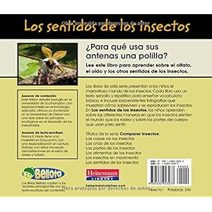 Los Sentidos de los Insectos = Bug Senses (Comparar Insectos)