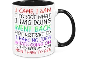GENERIC I Came I Saw I Forgot Mug - Funny Novelty Gift Silly Present Mugs for Women Birthday Christmas for Mum Dad Friend Sister for Men Colleague Secret Santa Work Quotes (Rainbow)