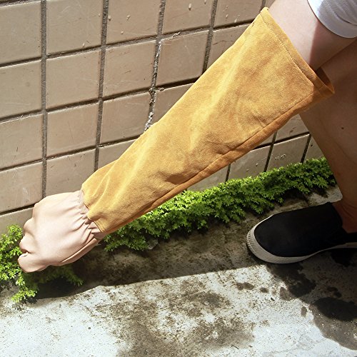 Goatskin Leather Thorn Proof Puncture Resistant Bramble Gloves , Heavy