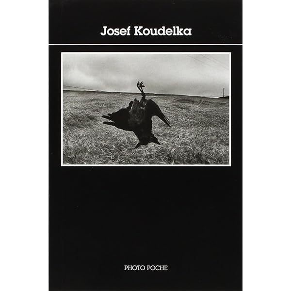 洋書 William  PHOTO POCHE 20 William Klein Photo Poche n° 20 Tome 20 - Poche - William