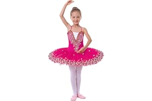 IBTOM CASTLE Fille Sans Manches Robe Ballet Brodée de Plumes Justaucorps Gymnastique Patinage Ballet Tutu Costume de Danse Enfant Ballerina 4-14 Ans