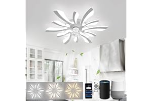LJX Lustre Ventilateur de Plafond 78cm Luminaire Ventilateur Plafonnier Compatible avec Alexa Minuterie Silencieux 6 Vitesses Réversible pour Chambre Salon, Chrome